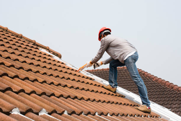 Best Roof Coating and Sealing  in Pine Bluffs, WY