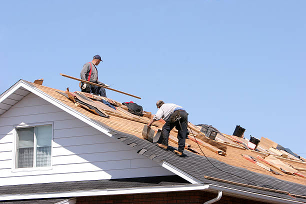 Best Flat Roofing  in Pine Bluffs, WY